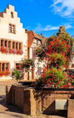 colorful houses on square in bergheim village on alsatian wine r