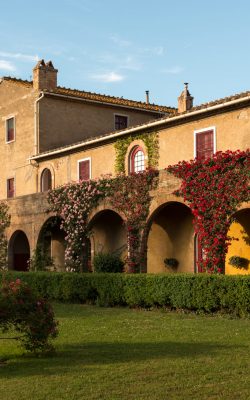 san guido weingut des sassicaia