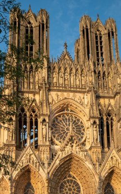 view on gothic roman catholic cathedral church notre dame in cen
