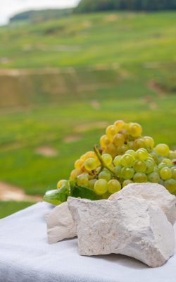 white chalk stones from cote des blancs near epernay, region cha