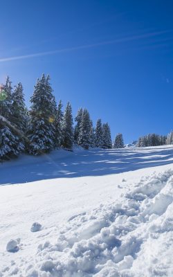courchevel ski rental