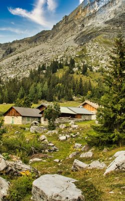 alpine pasture and mountain farm on the tree line in the mountai