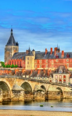 view of gien with the castle and the bridge across the loire france