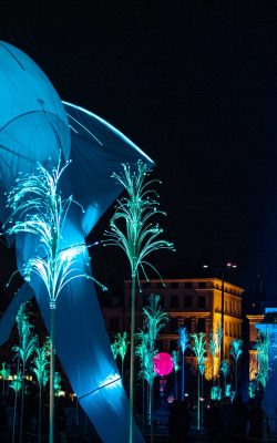 les illuminations du 8 décembre lyon bellecour 2019, représent